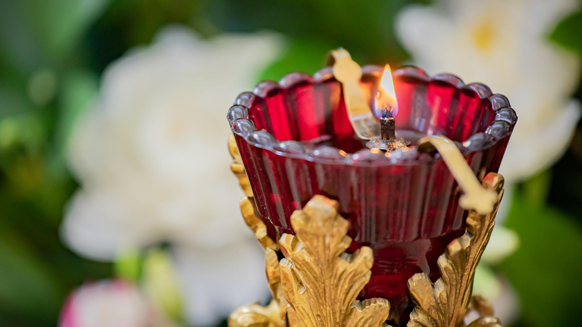 Вечірня та Утреня у Патріаршому соборі УГКЦ